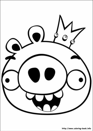 Free Angry Bird Coloring Pages for Kids   ddpA0