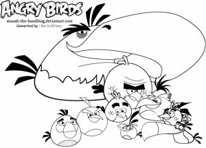 Free Angry Bird Coloring Pages for Toddlers   vnSpN
