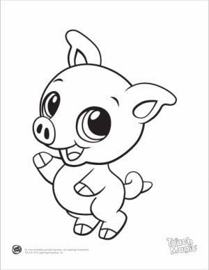 Free Baby Animal Coloring Pages   25762