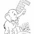 Elephant Coloring Pages for Preschoolers