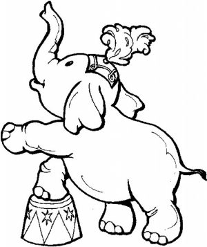 Free Circus Coloring Pages   25762
