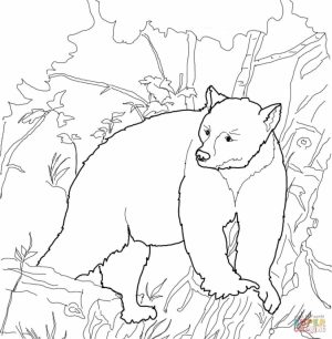 Free Coloring Pages of Bear   9731b