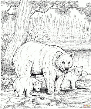 Free Coloring Pages of Bear   at4n1