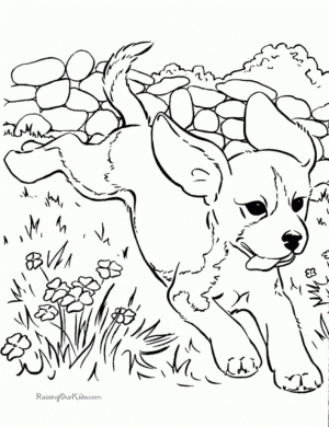 Free Coloring Pages Of Dogs to Print   12490