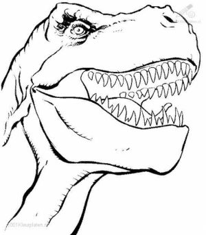 Free Dinosaurs Coloring Pages   72ii21
