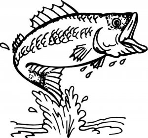 Free Fish Coloring Pages to Print   924309