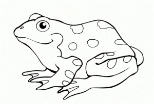 Free Frog Coloring Pages for Kids   AD58L