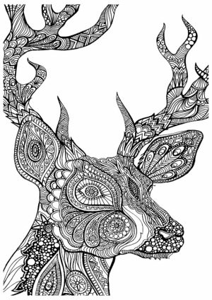 Free Grown Up Coloring Pages   42893