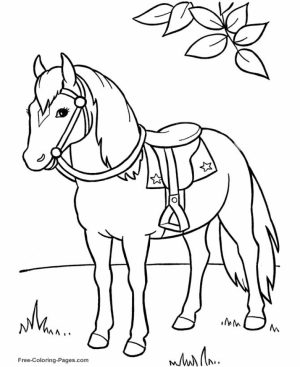 Free Horses Coloring Pages for Kids   ddpA0