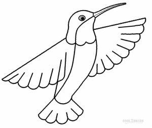 Free Hummingbird Coloring Pages to Print   77745