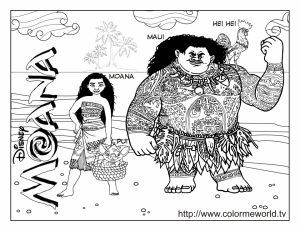 Free Moana Coloring Pages to Print   GC49K
