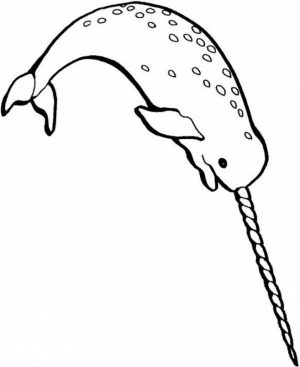 Free Narwhal Coloring Pages   20627