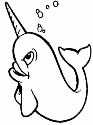 Free Narwhal Coloring Pages   34753