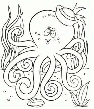 Free Octopus Coloring Pages   72ii23