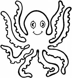 Free Octopus Coloring Pages   t29m23