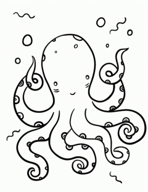Free Octopus Coloring Pages to Print   590f27