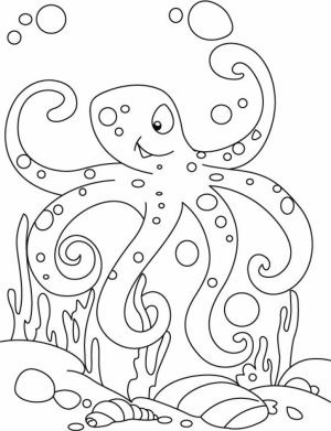 Free Octopus Coloring Pages to Print   rk86j