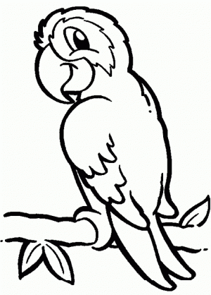 Free Parrot Coloring Pages   25762