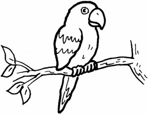 Free Parrot Coloring Pages   46159
