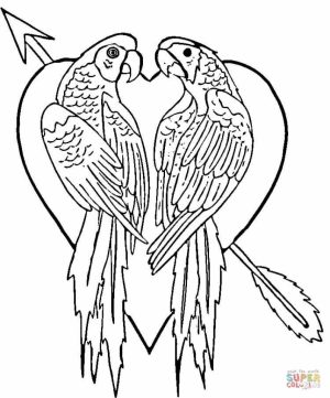 Free Parrot Coloring Pages to Print   18251
