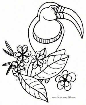 Free Parrot Coloring Pages to Print   39122
