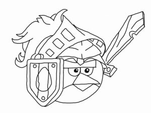 Free Picture of Angry Bird Coloring Pages   mbYjg