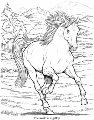 Free Picture of Horses Coloring Pages   mbYjg