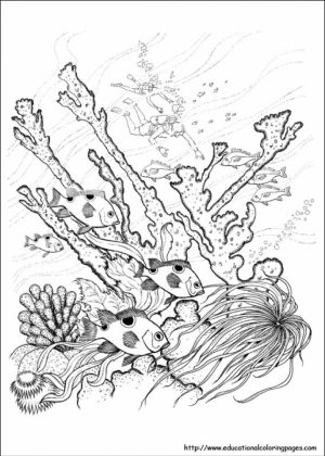 Free Picture of Nature Coloring Pages   prmlr