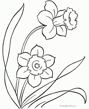 Free Picture of Spring Coloring Pages   prmlr