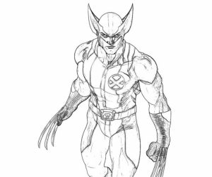 Free Picture of Wolverine Coloring Pages   mbYjg