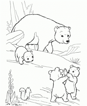 Free Polar Bear Coloring Pages for Kids   yy6l0