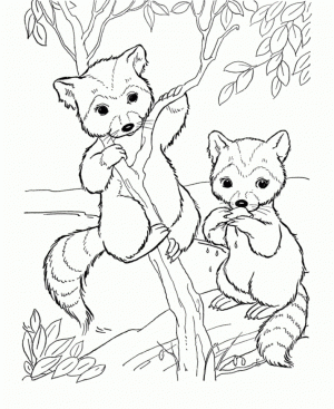 Free Preschool Animals Coloring Pages to Print   T77HA