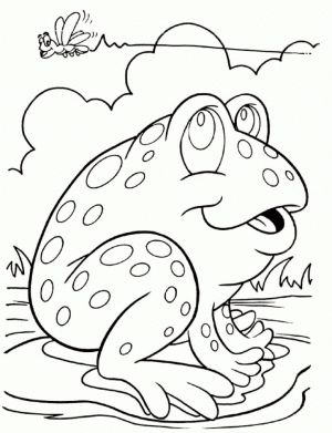 Free Preschool Frog Coloring Pages to Print   T77HA