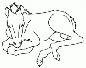 Free Preschool Horses Coloring Pages to Print   OLoEv