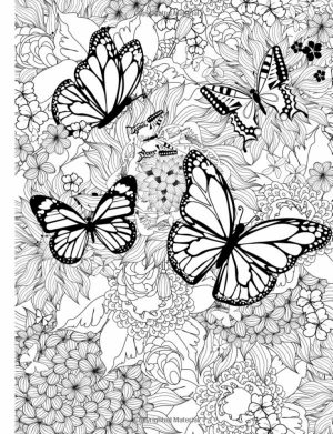 Free Printable Butterfly Coloring Pages for Adults   89371