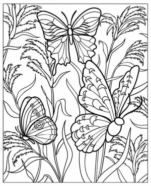 Free Printable Butterfly Coloring Pages for Adults   at461