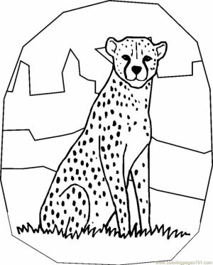 Free Printable Cheetah Coloring Pages   72xbp