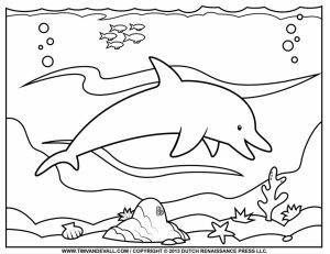 Free Printable Dolphin Coloring Pages for Kids   17263