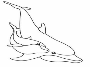 Free Printable Dolphin Coloring Pages for Kids   40956