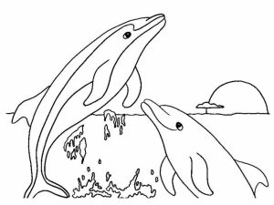 Free Printable Dolphin Coloring Pages for Kids   71523