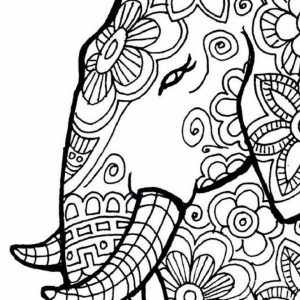 Free Printable Elephant Coloring Pages for Adults   ad54569