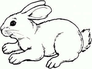 Free Printable Rabbit Coloring Pages for Kids   HAKT6