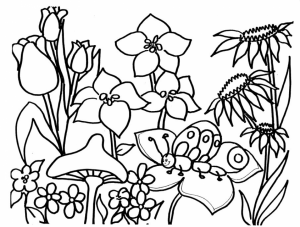 Free Printable Spring Coloring Pages for Kids   5gzkd