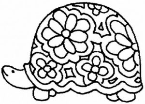Free Printable Turtle Coloring Pages for Kids   5gzkd