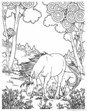 Free Printable Unicorn Coloring Pages for Adults   DR382