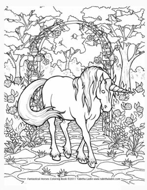 Free Printable Unicorn Coloring Pages for Adults   MN941