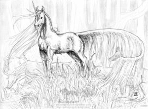 Free Printable Unicorn Coloring Pages for Adults   WZ725
