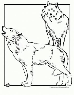Free Printable Wolf Coloring Pages   09053
