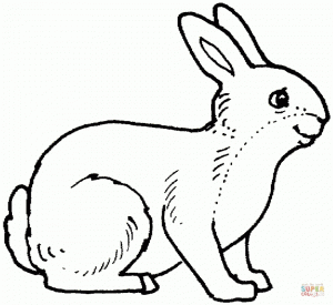 Free Rabbit Coloring Pages for Kids   AD58L