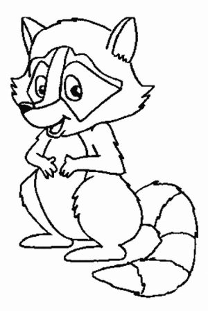 Free Raccoon Coloring Pages   33958